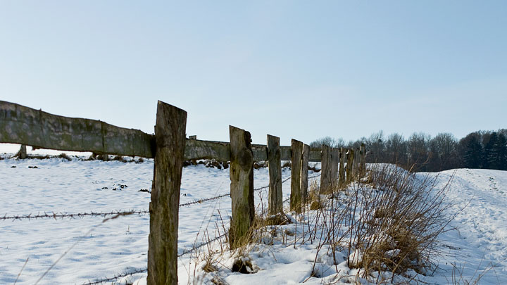 winter-weidezaun-spaziergang